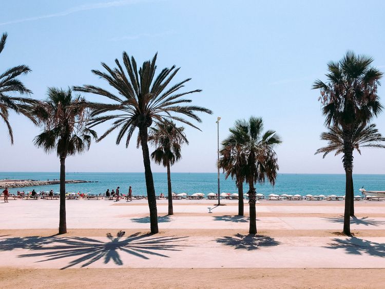 12 Best Things to do in Barcelona with Kids