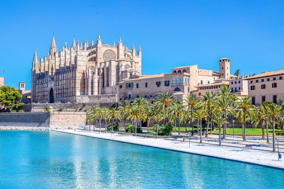 14 Best Things to do in Palma with Kids